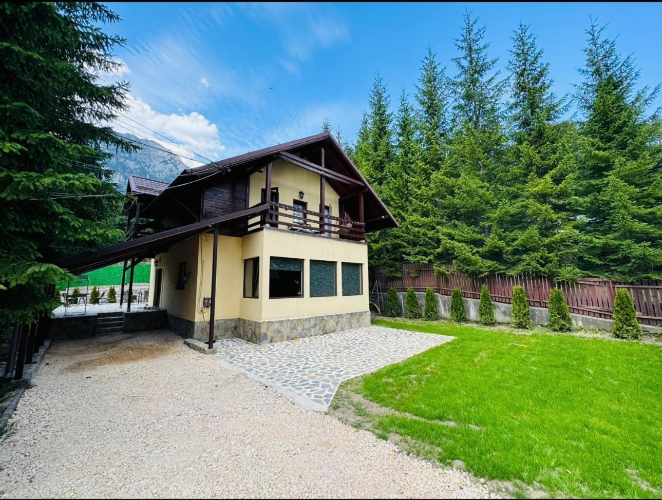Ollie'S Mountain Chalet Buşteni Dış mekan fotoğraf