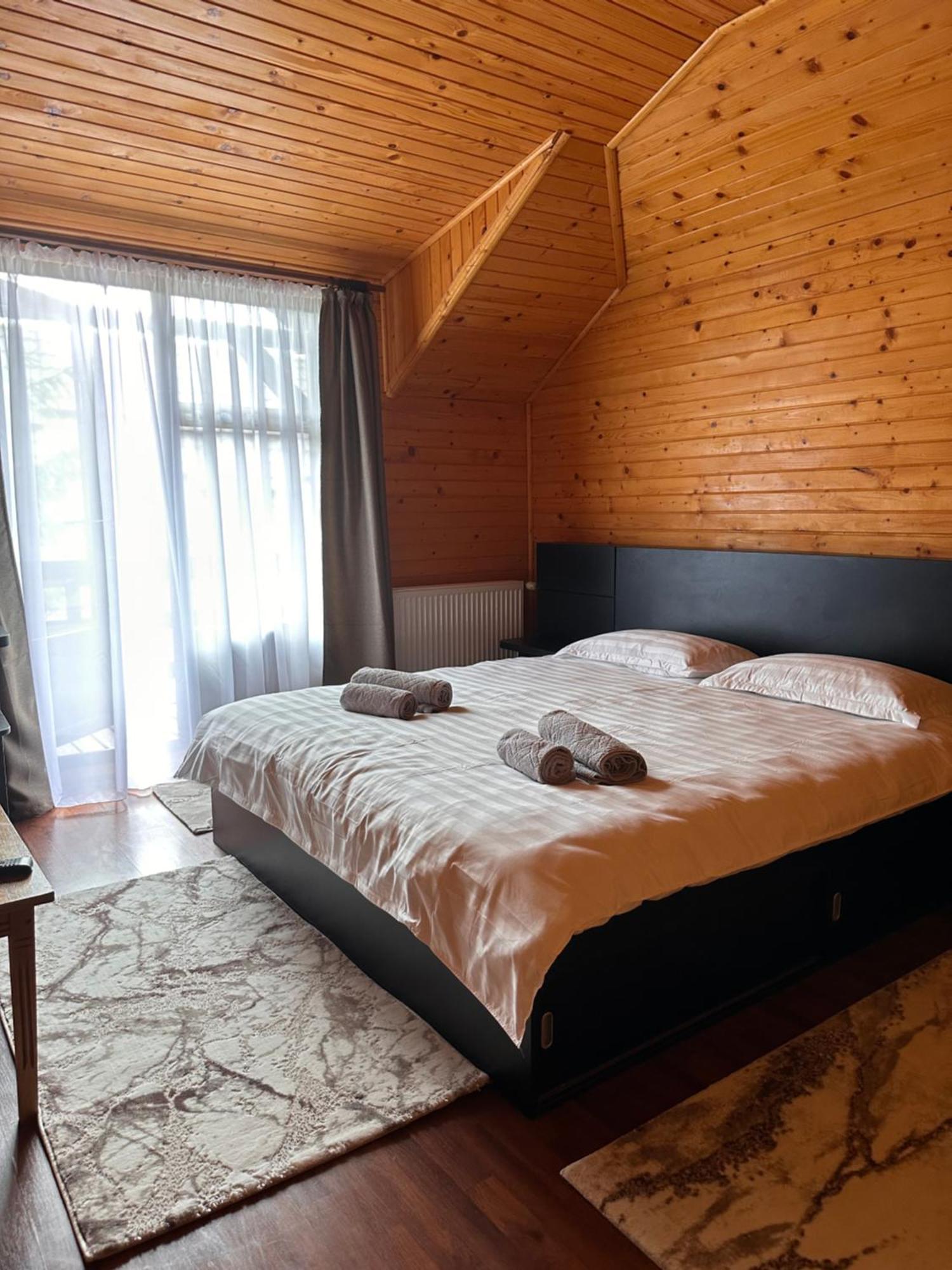 Ollie'S Mountain Chalet Buşteni Dış mekan fotoğraf