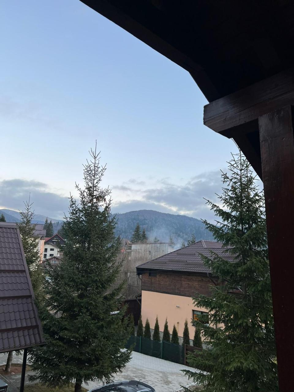 Ollie'S Mountain Chalet Buşteni Dış mekan fotoğraf